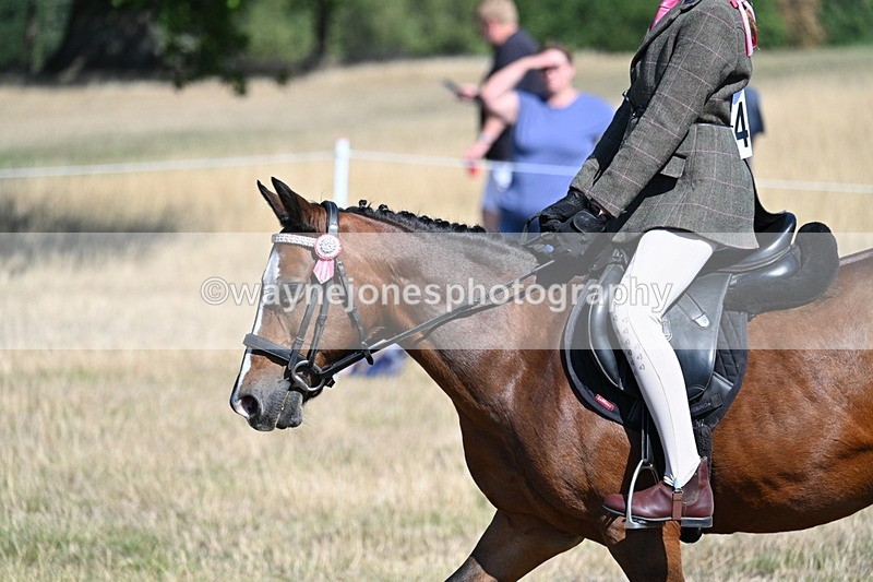 WJ7_4091 - Class 9 Mountain & Moorland Ridden