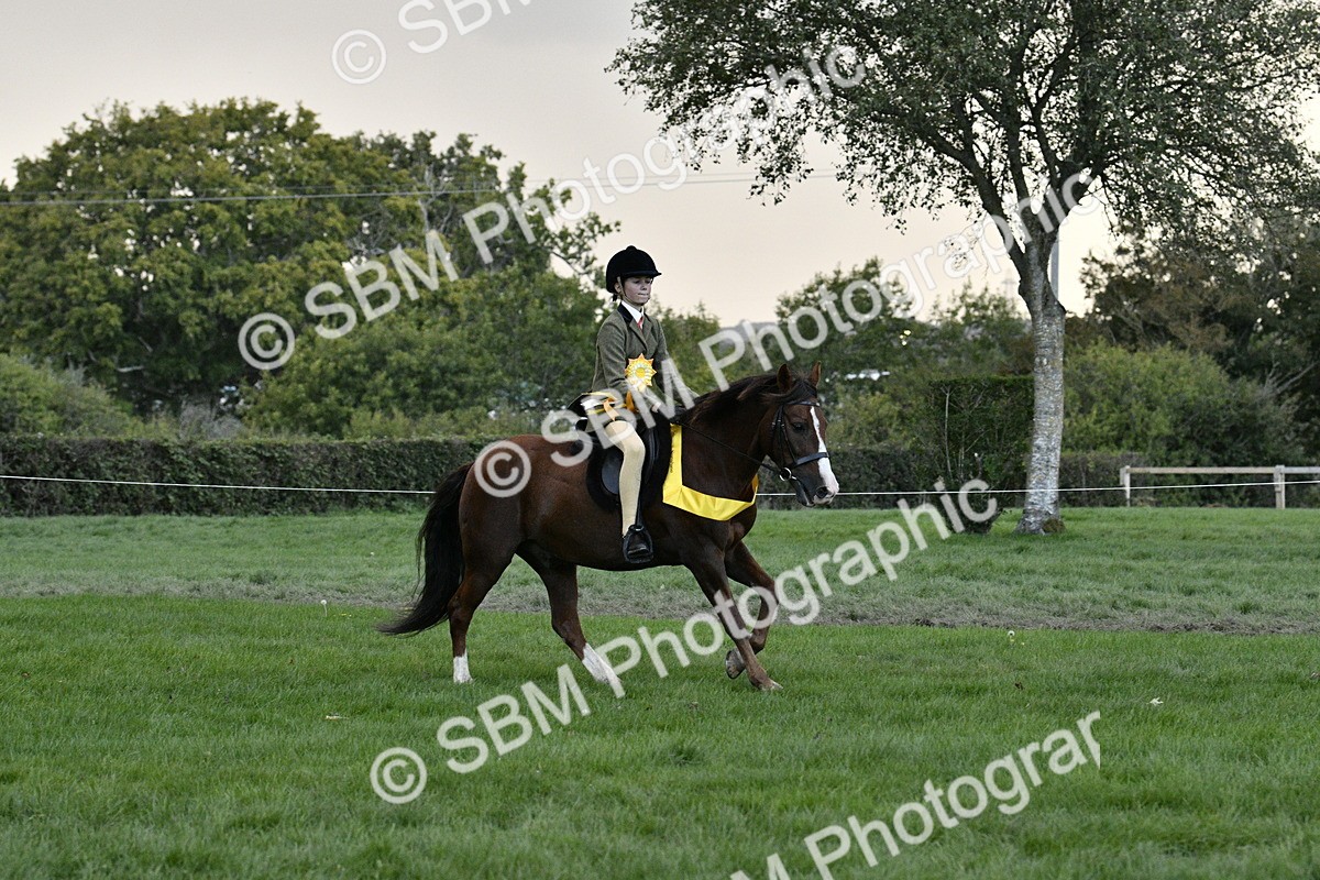 SBM_53300 - S14 - Riding Club Horse