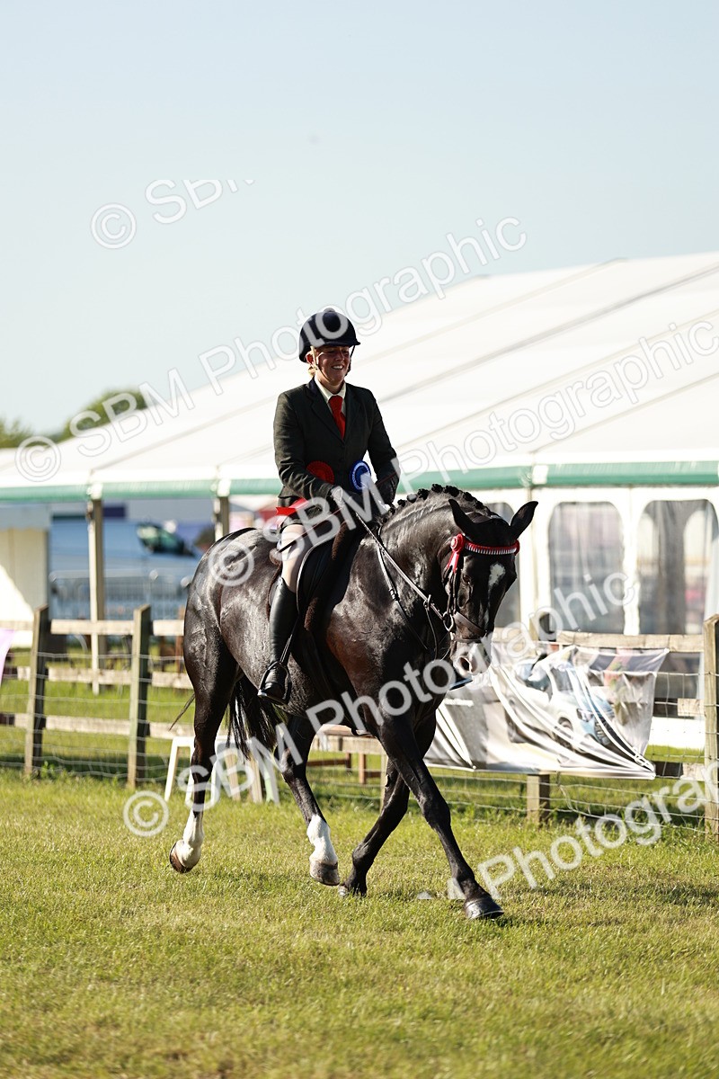 SBM_20139 - Class 115-116 - LIHS BSHA Rising Star Working Hunter & Show Horse