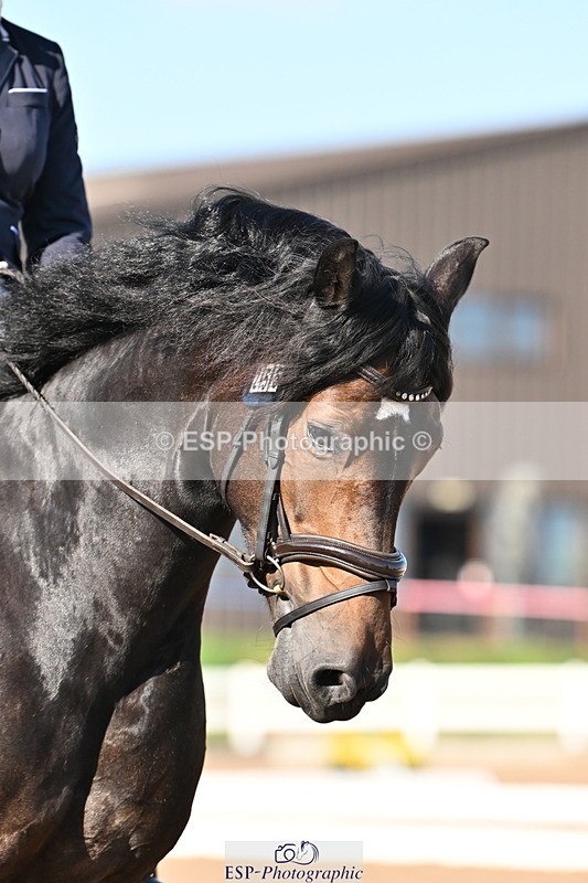 240816A-170431-06348 - 255-Victoria.Hunton-Maesmynach.Annwyl