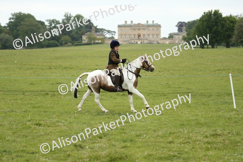 20250517-0426 - Class 20 - Beginners Working Hunter