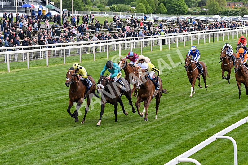 140526-Race 6-Dickensian-0336 - Race 6 4.40pm British Stallion Studs EBF Westow Stakes