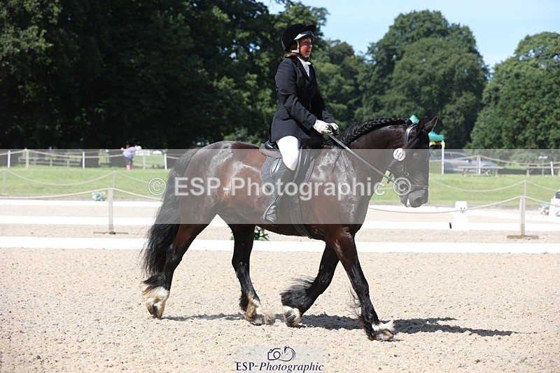 230811-120646-00996 - Cls 1 Prelim Bronze 11.10 to 12.35 break