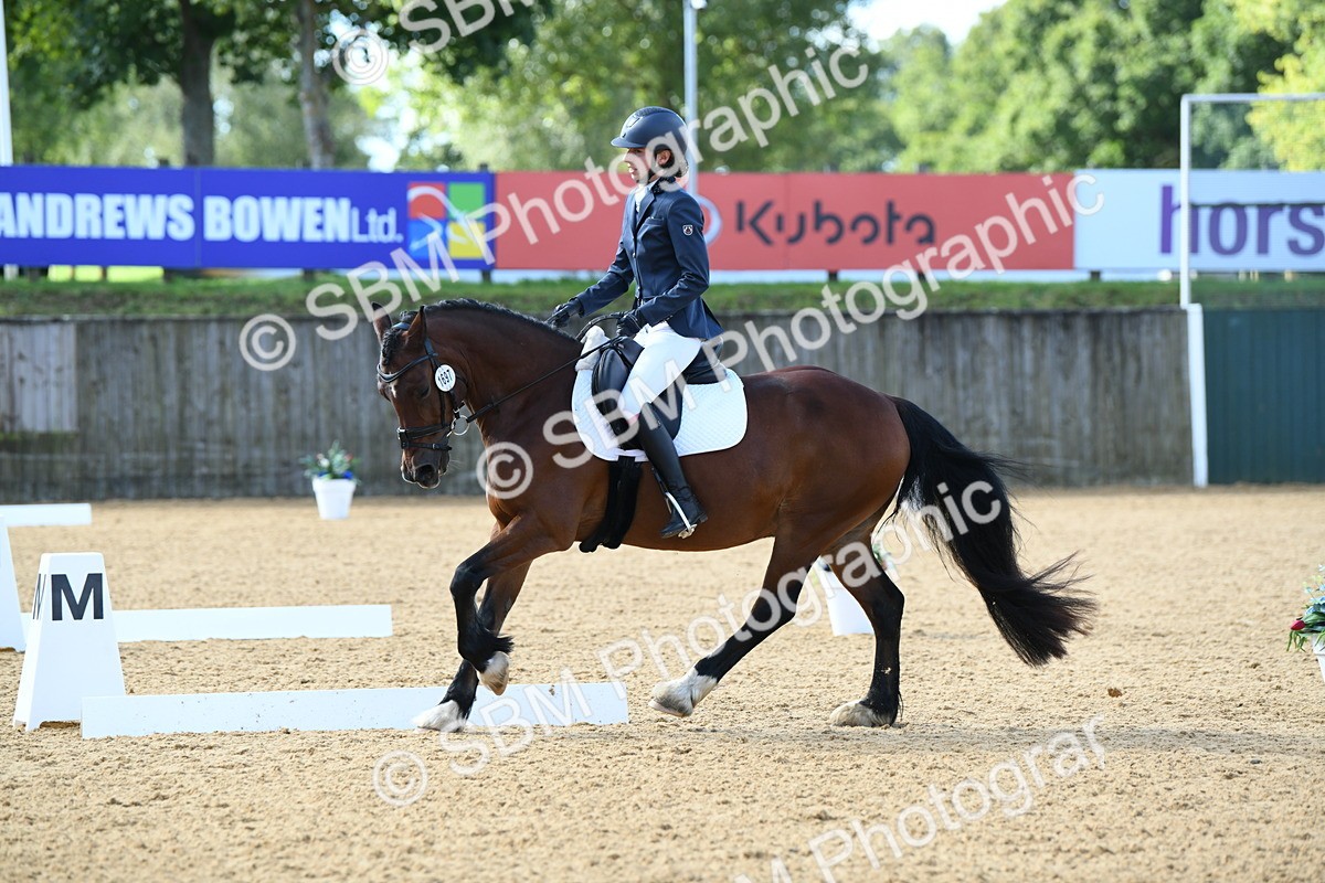 SBM_02966 - D7 Small Tour Championship Prelim 1