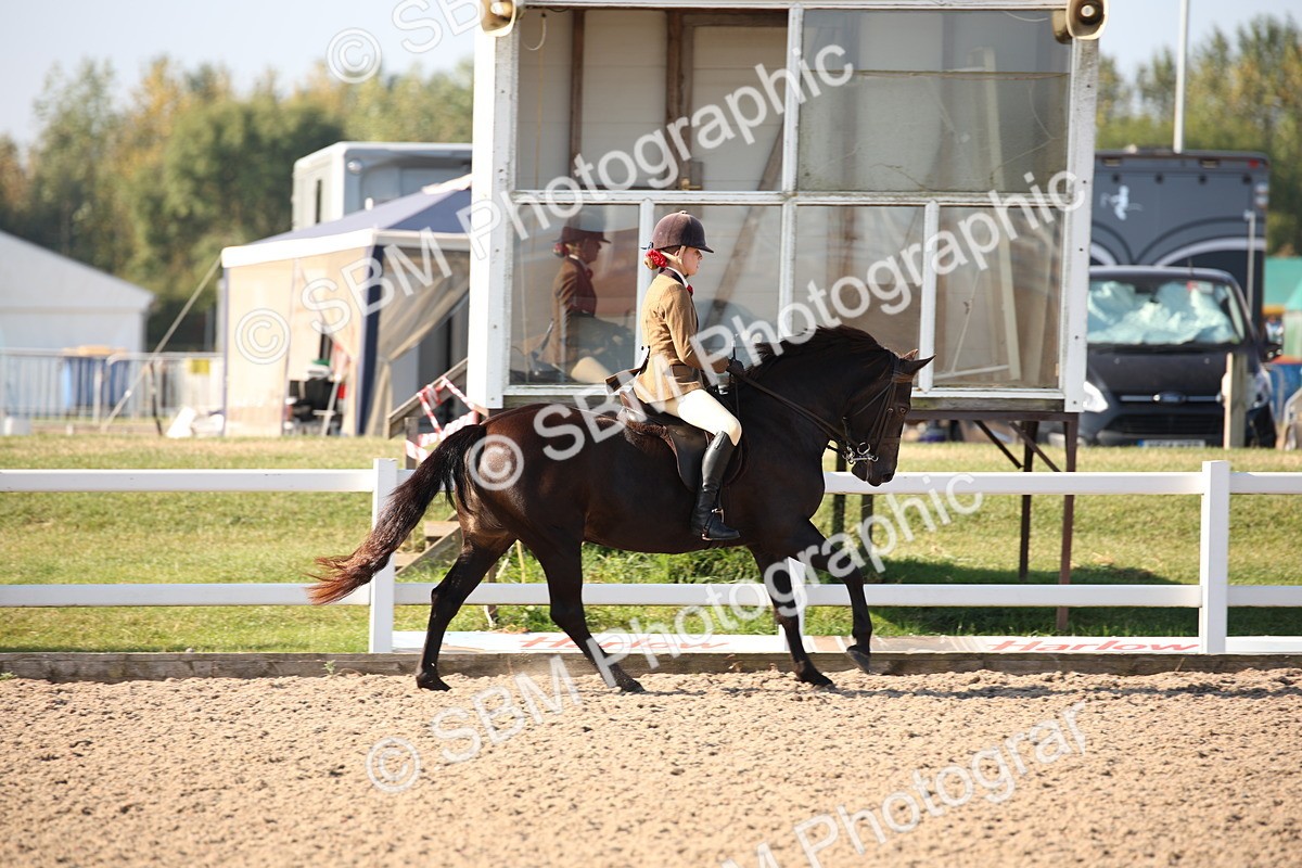 SBM_00675 - Class 14 Ridden M&M Wildcard