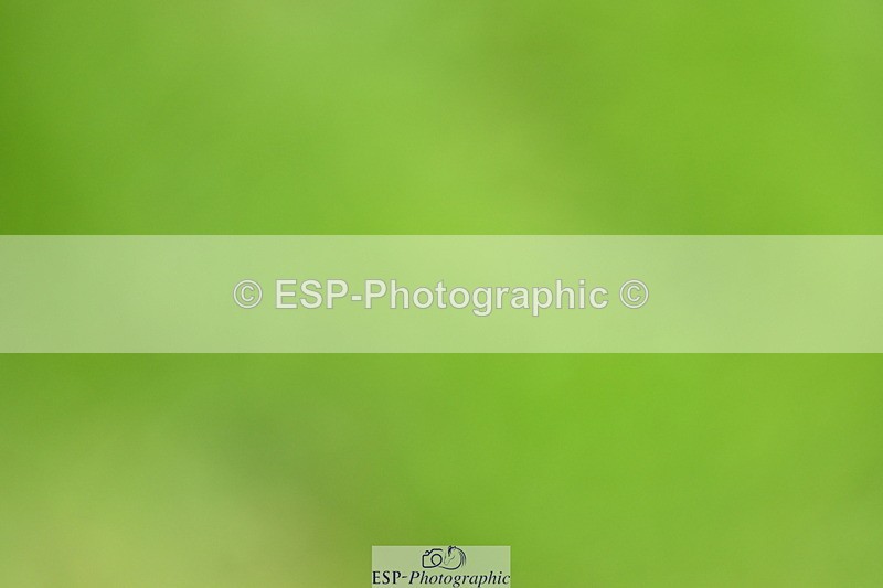 250706A-144047-20554 - Cls 45 Snr 1.20m Grand Prix