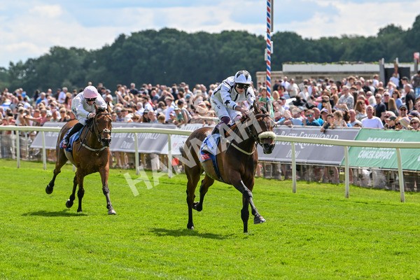 140625-Race 3-Al Qareem-2472 - Race 3 3.00pm Sky Bet Race To The Ebor Grand Cup Stakes