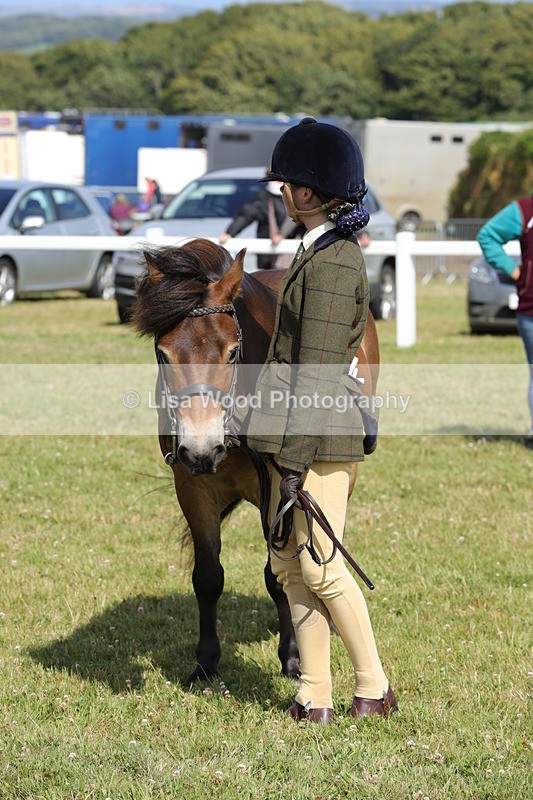 1X9A5618 - Class 39: NPS Dartmoor, Exmoor, Shetland