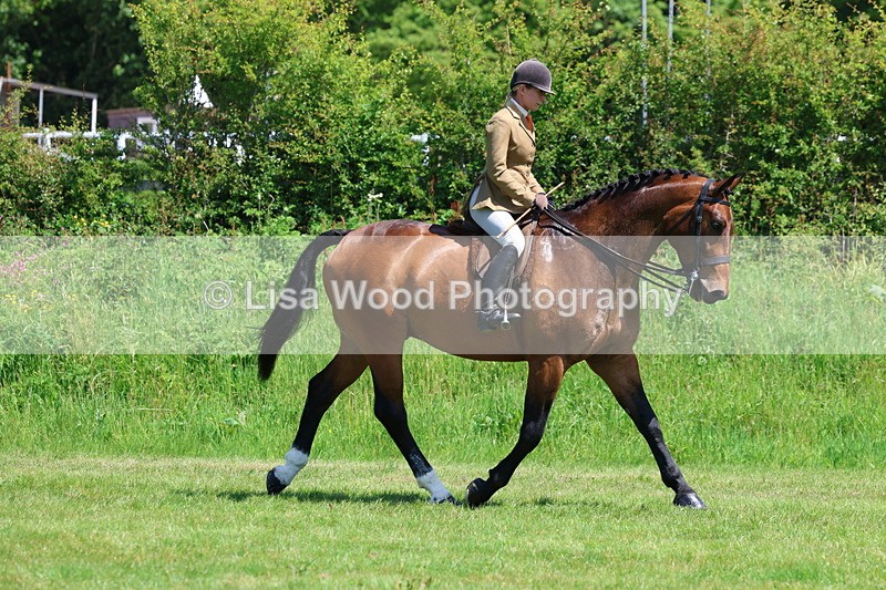 3E7A8207 - Class 13: Ridden Hunter