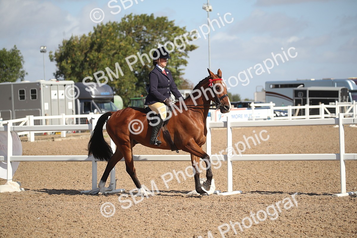SBM_22787 - Class 602 - 2026 Area - Ridden Veteran