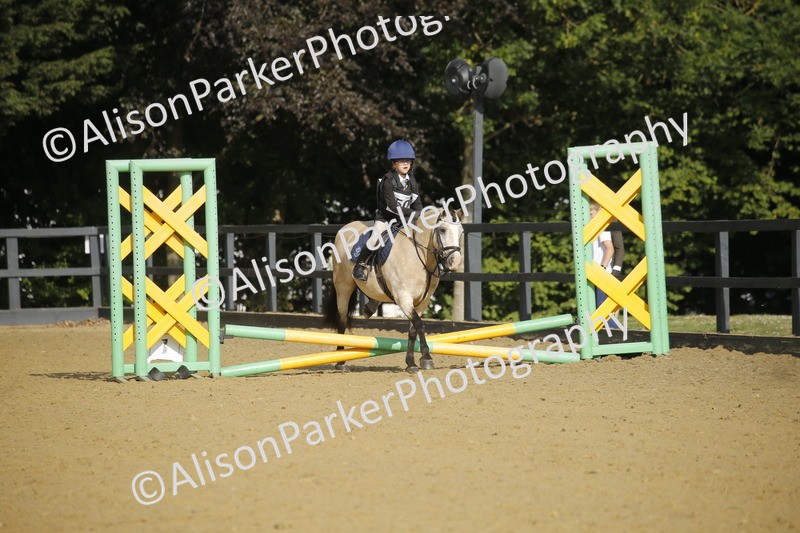 20250622-1153 - 40cm