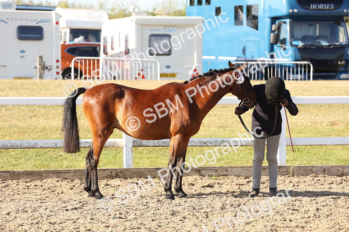 SBM_11640 - Class 203 - Young Handler 11 to 16 years