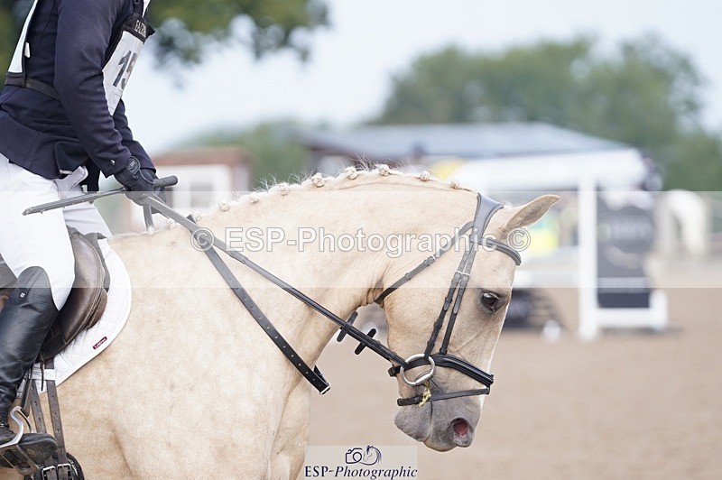 240831A-095658-00097 - 155-Rupert.Batting-SSF.GOLDEN.PRINCESS