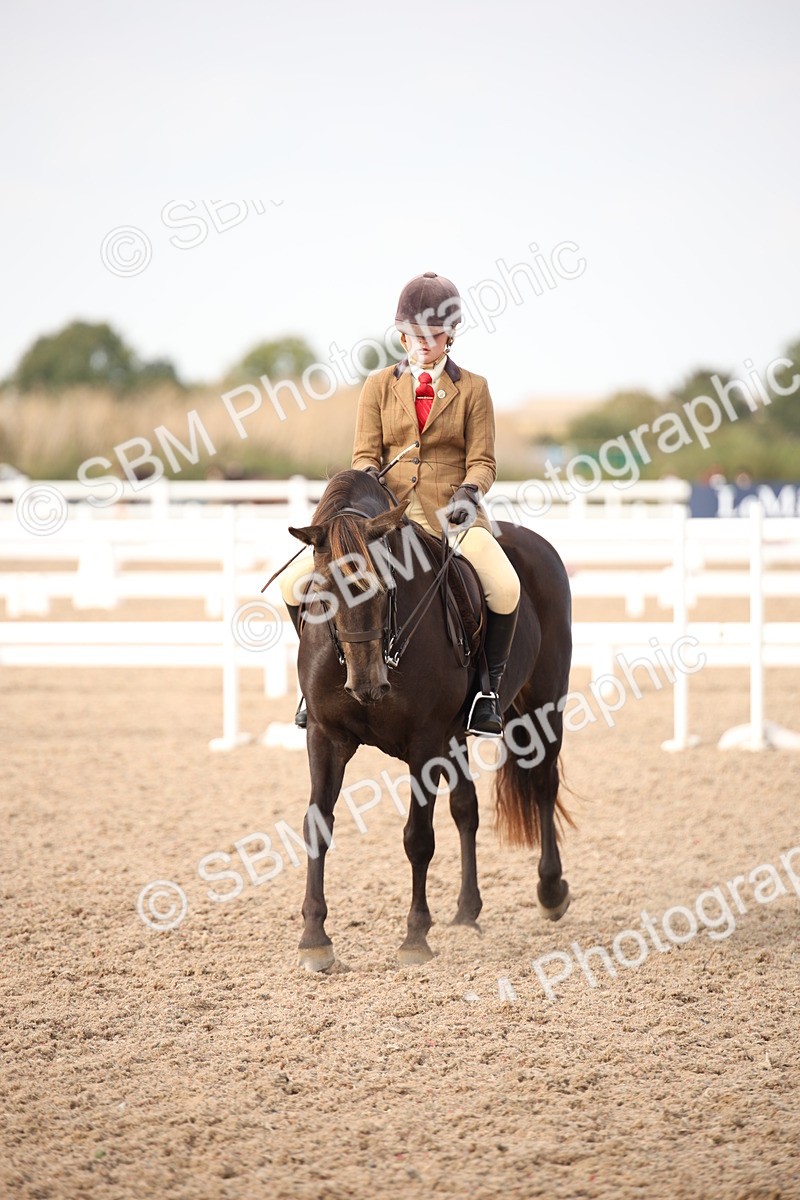 SBM_08813 - Class 12R Regional Ridden Pre-Vet