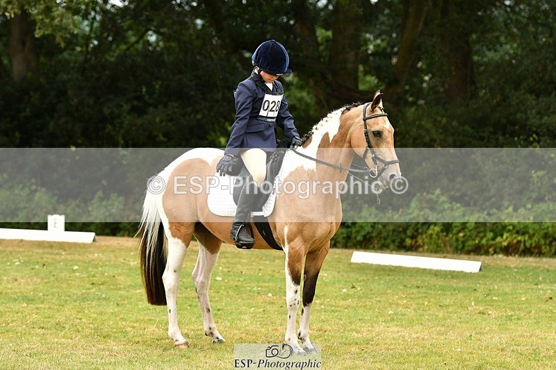 250820A-125244-05684 - 12 to 13.00