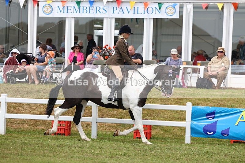 3E7A0836 - Class 8: Open Riding Horse/Hack