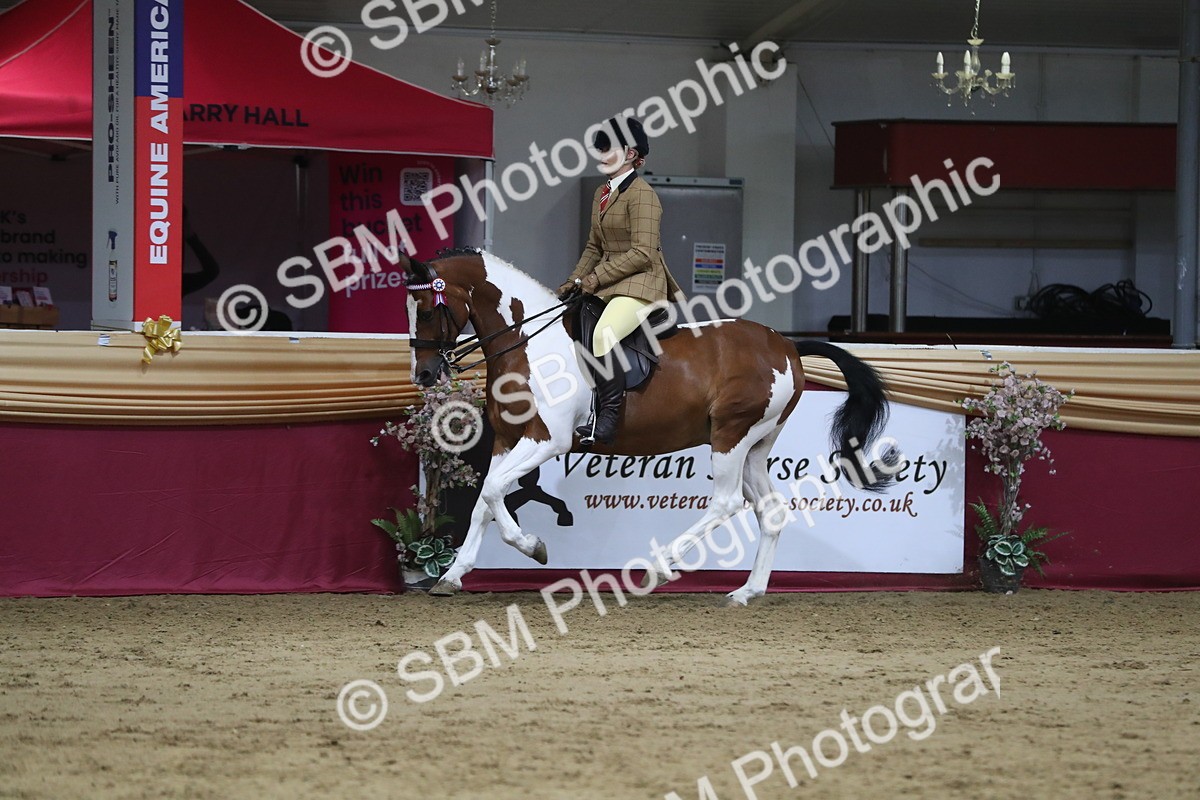 SBM_08443 - Class 11R Regional Ridden Veteran