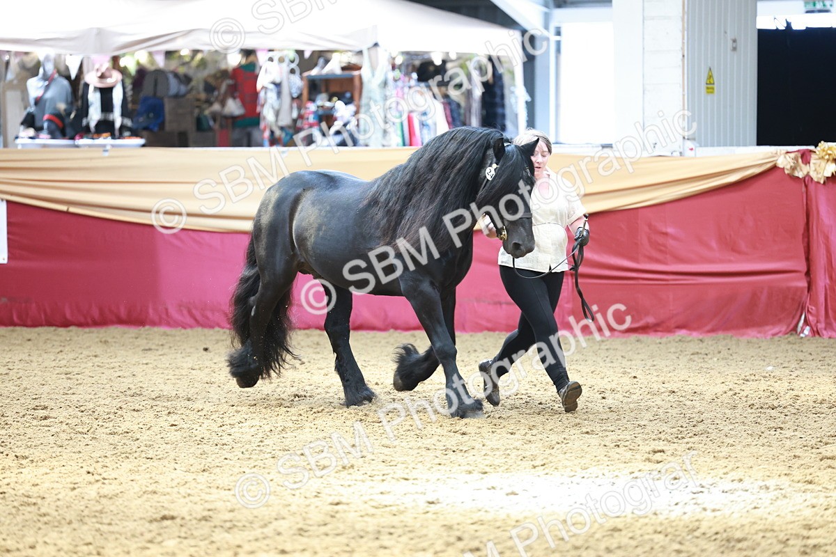 SBM_17502 - Class 951 - M&M IH Supreme Final