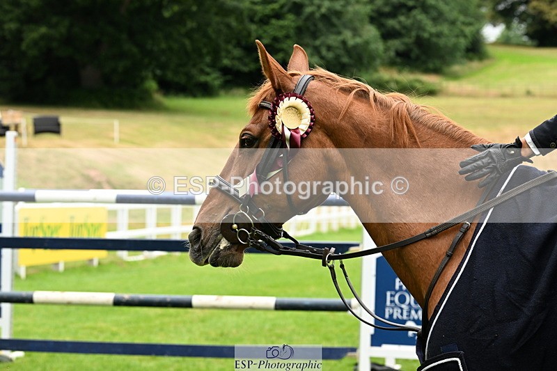 250706A-105510-17409 - Cls 43 Snr 1.30m Grand Prix