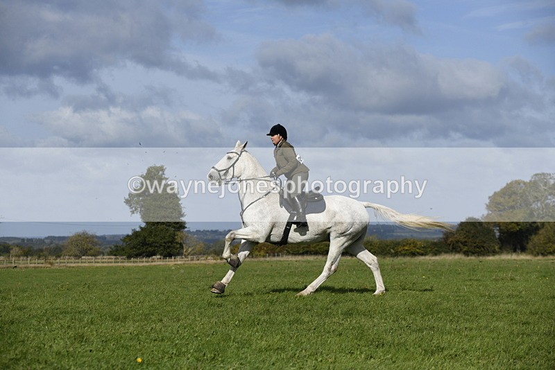 _DSC5735 - Time 10:49 to 11:23