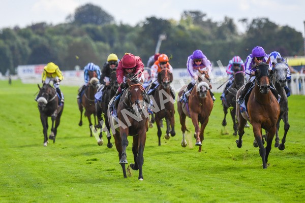 260823-Race 2-Middle Earth-0325 - Race 2 Sky Bet Melrose Handicap