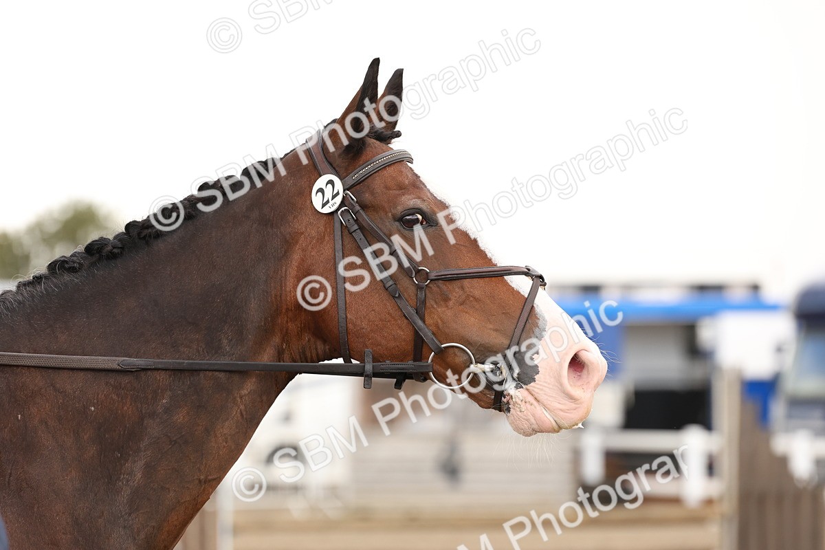 SBM_07561 - Class 59b -  Style & Performance - 80cm (20+)