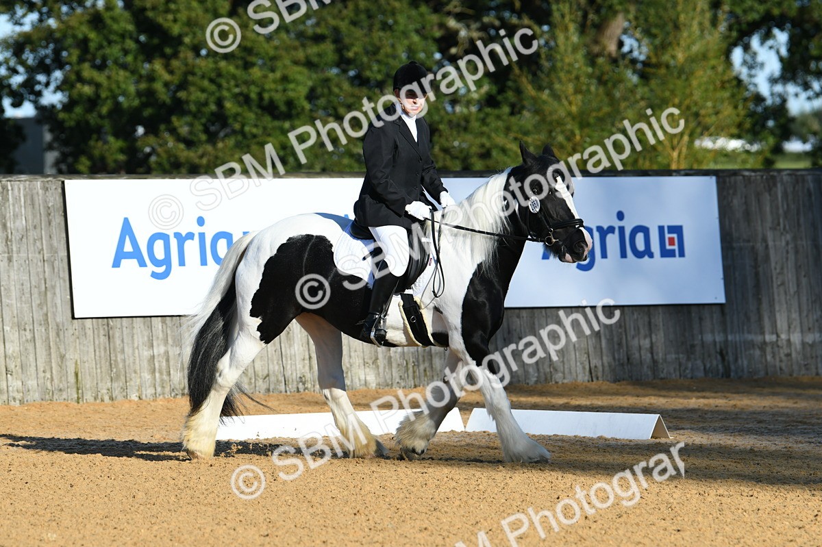 SBM_14443 - D4 - Small Tour Championship - Intro B