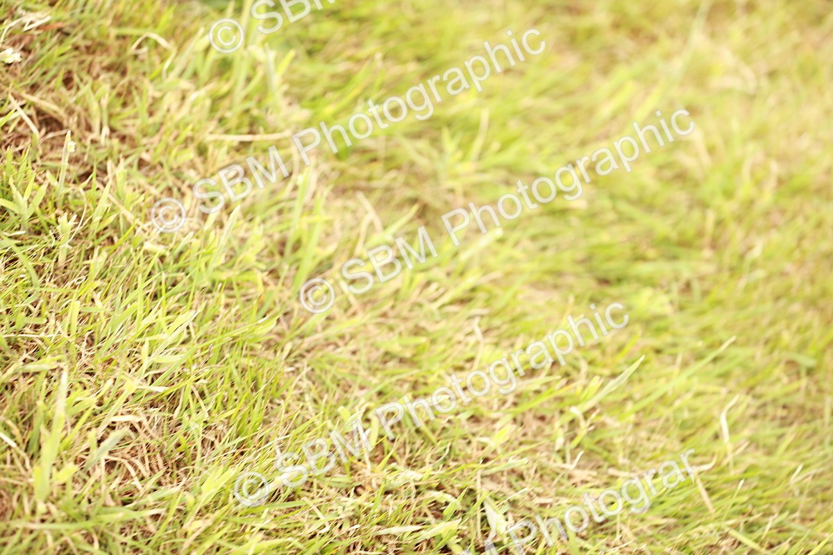 SBM_04755 - Class 5-8 - BSPA In hand