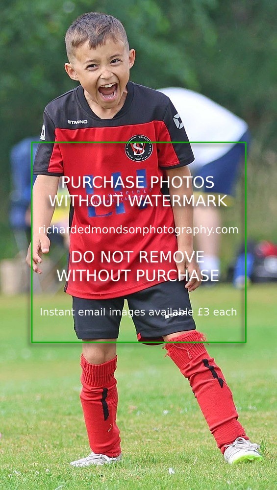 533A2993 - Sedbergh Wanderers (morning Ibis)