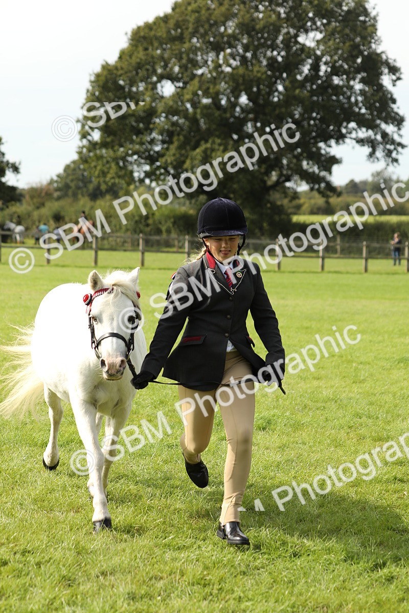 SBM_68684 - S40 - Junior Handler 9-12 Years