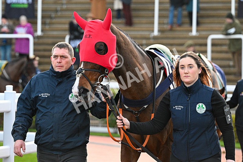 121225-Race 6-Favori De Champdou-6579 - Race 6