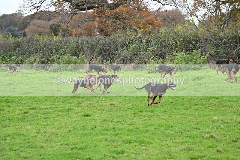 WJ7_1547 - Camera 2