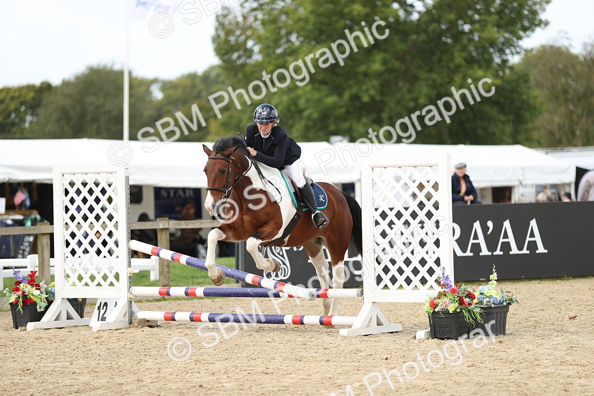 SBM_06379 - J29 - Senior Horse & Pony 65cm Championship