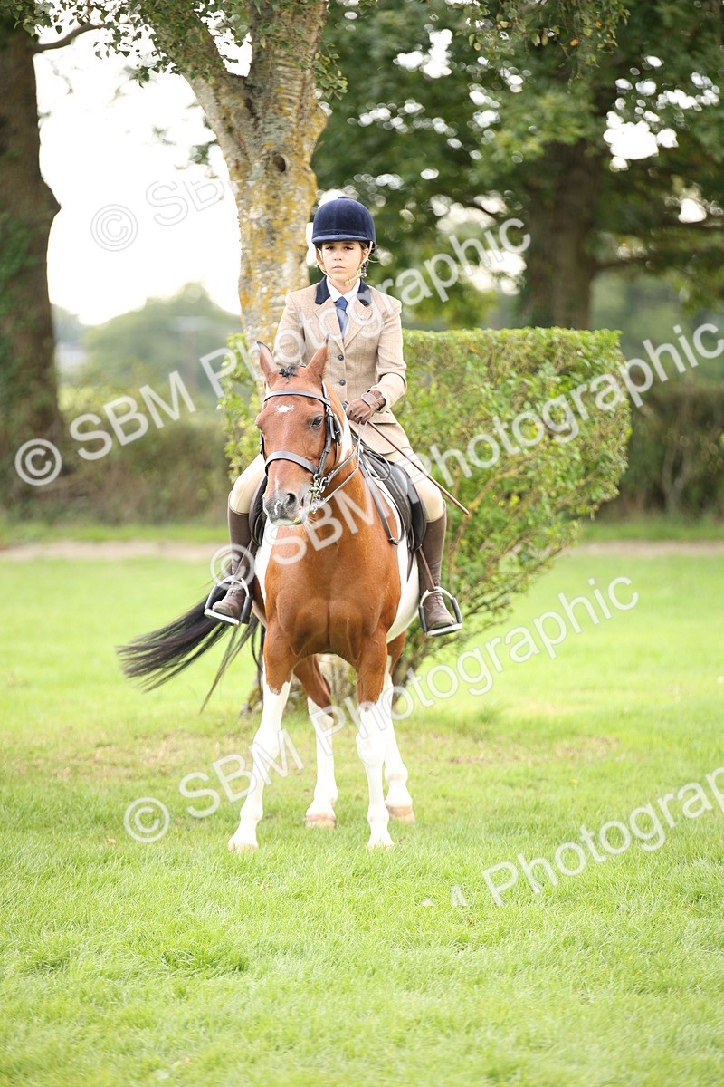 SBM_50006 - S26 - Young Veteran - Ridden