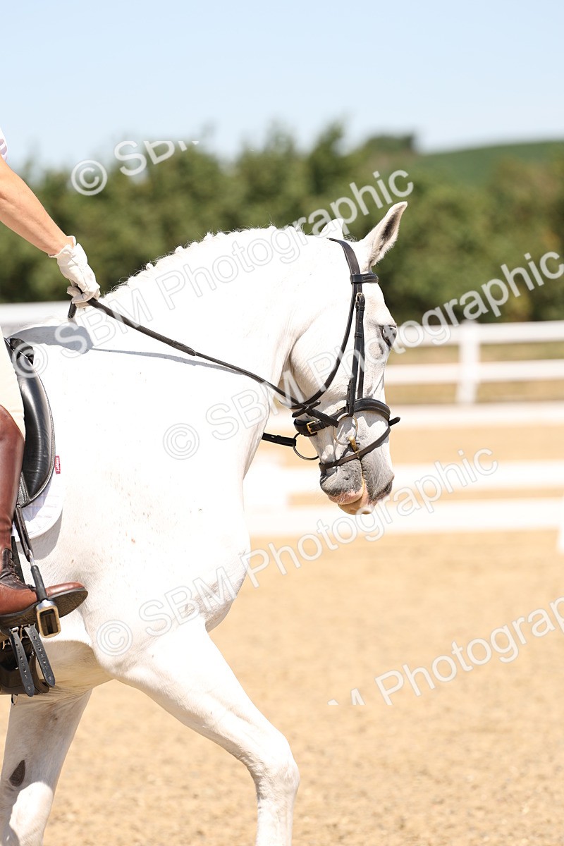 SBM_002173 - Elementary 4 Warm Up