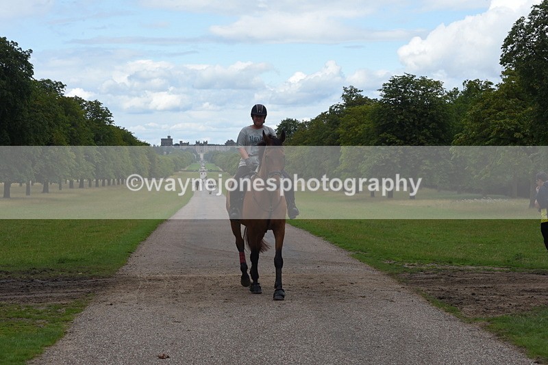 TT3_0461 - Time at Crossing 14:53 to 1526