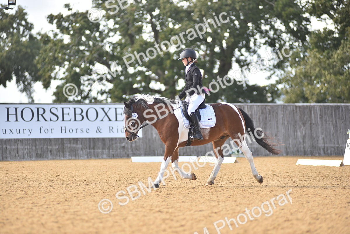 SBM_24262 - D4 - Small Tour Championship Intro 4