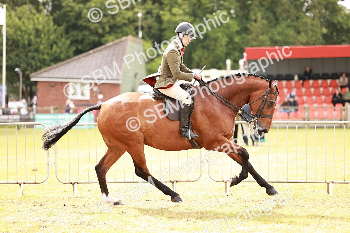 SBM_11565 - Class 81-84 - RIHS Ridden hunters Inc Ladies Hunter
