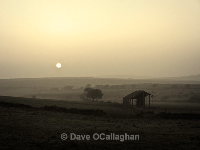 Evening Haze