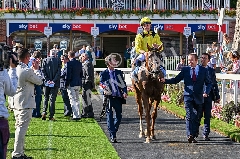 220826-Race 7-Raammee-1947 - Race 7 17.20pm Sky Bet Dav Reid Finale Handicap