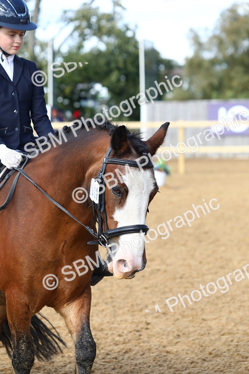 SBM_49118 - D23 - Junior Championship Prelim 1