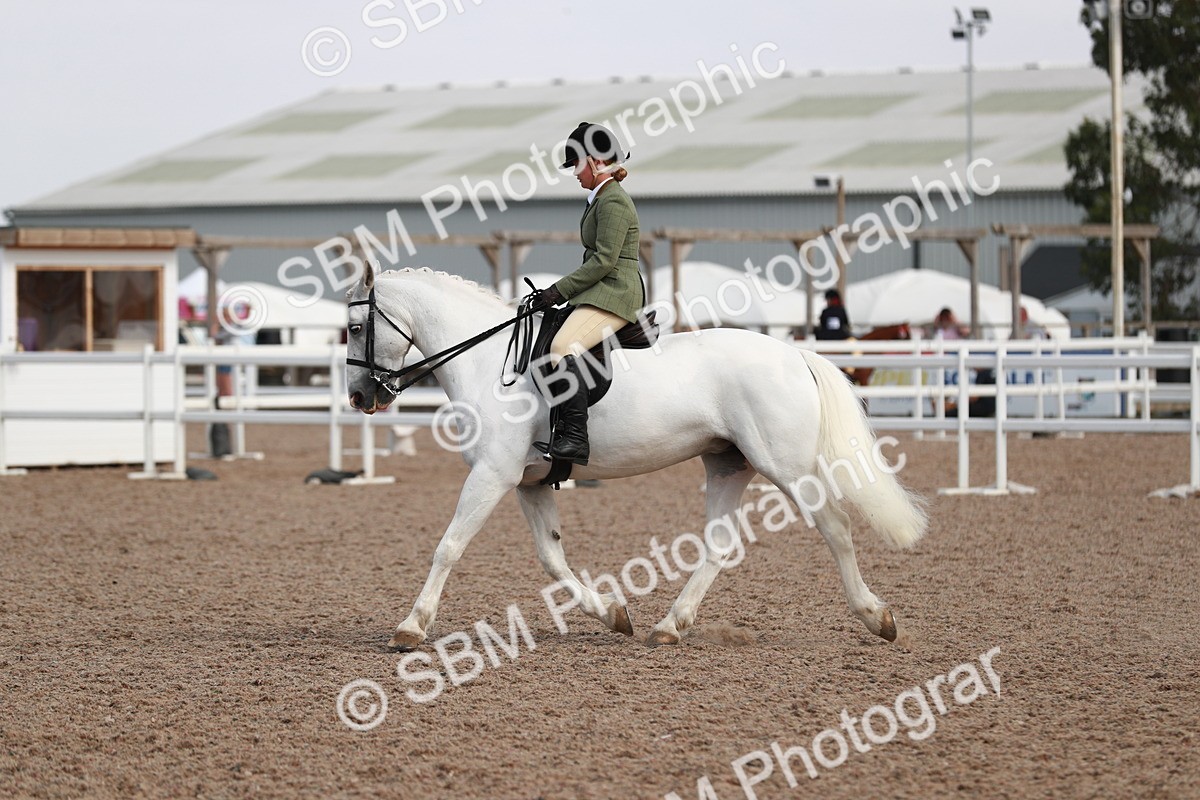 SBM_14910 - Class 212 Ridden Hunter - Small