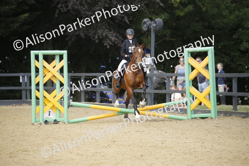 20250622-3917 - 50cm