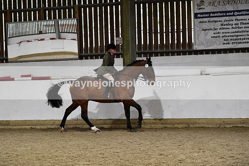 WJ5_8863 - Class 15 Ridden Show Horse