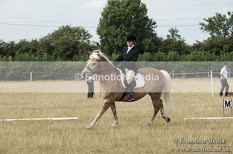 _PJP5727 - Dressage Classes BVRC Show 2018