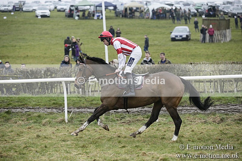 PtP 020418 -128 - Old Berks Point-to-Point Races Easter Monday 02/04/18