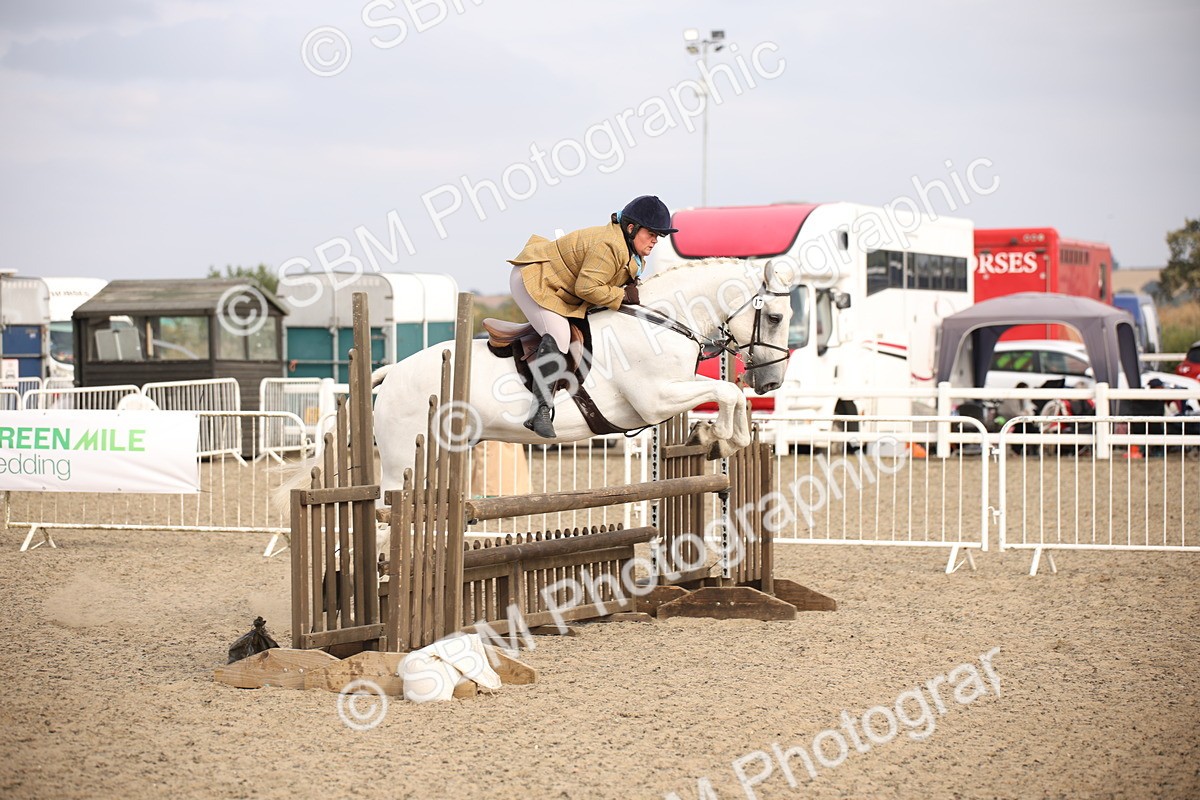 SBM_17272 - Class 410a - Wor5king Veteran 90cm (15-19)