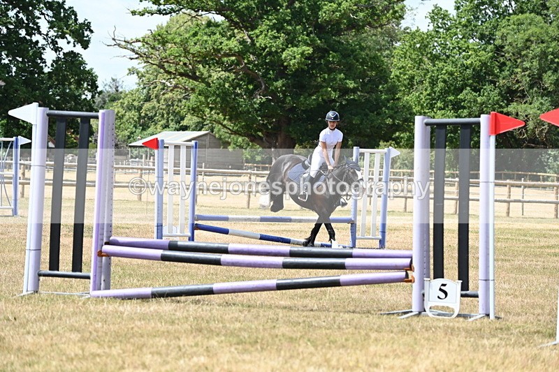 WJ6_5648 - Class 13 Novice 60cm