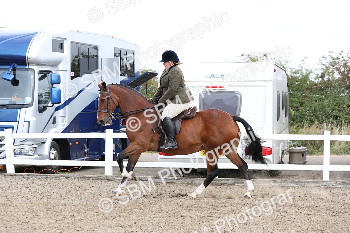 SBM_01500 - Class 52 - Ridden Veteran