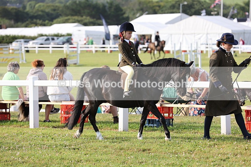 JPP_0151 - Class 14: Cornish Combination Leading Rein